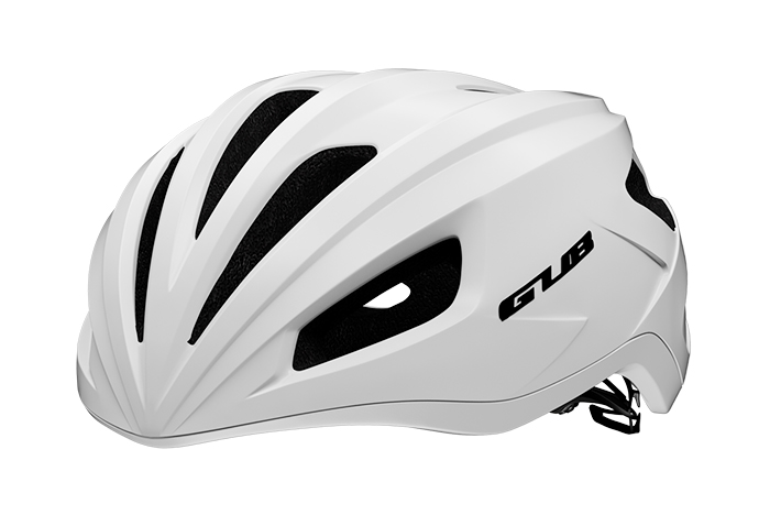 GUB D51 �T���^��