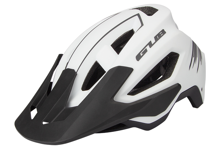 GUB F1 �p���T�а��